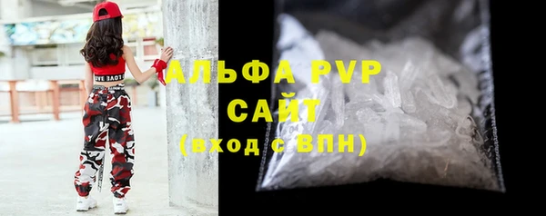 прущие грибы Баксан