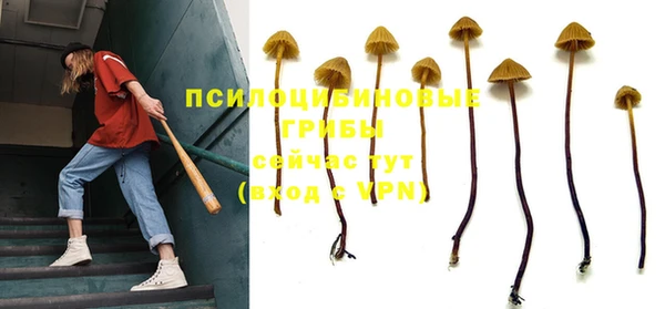 крисы Рославль