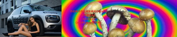 прущие грибы Арсеньев