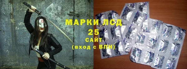 прущие грибы Арсеньев