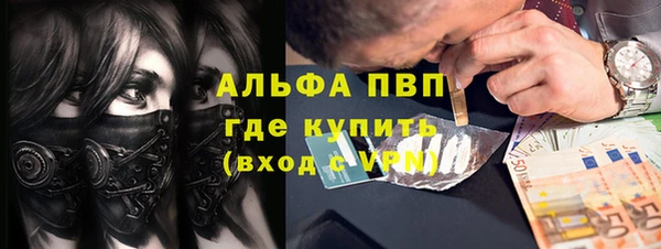прущие грибы Арсеньев