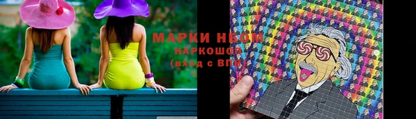 прущие грибы Арсеньев